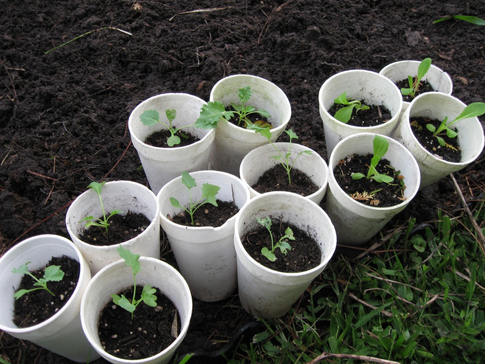 See the source image